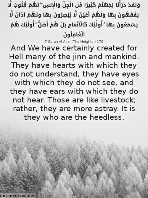 Verses About Jinn Quran Verses