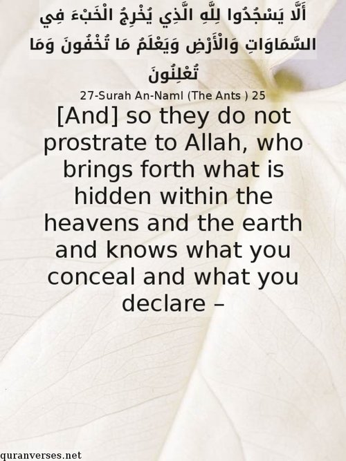 Verses about Plant and trees – Quran Verses